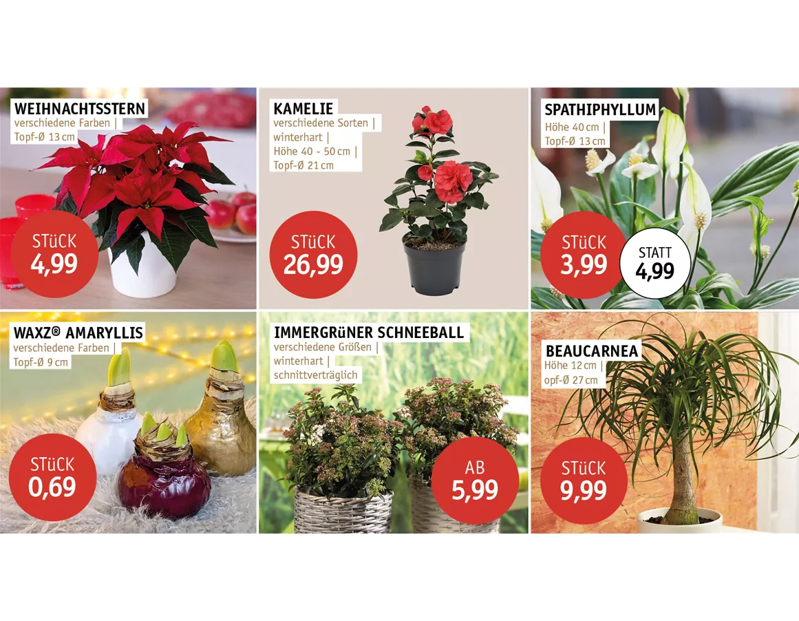 Aktion_Angebote_Dez25_2.jpg