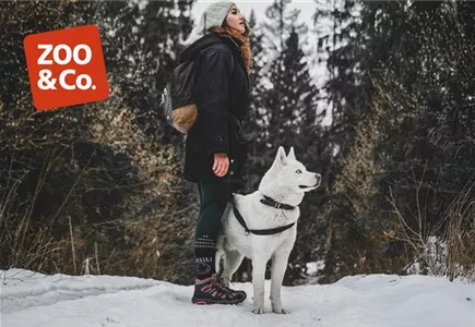 Zoo & Co.