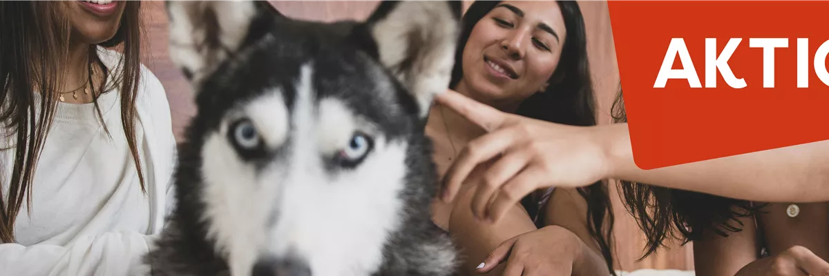 Wochenangebote Tierfachmarkt Klukkert Lingen – Imagebild KW 02