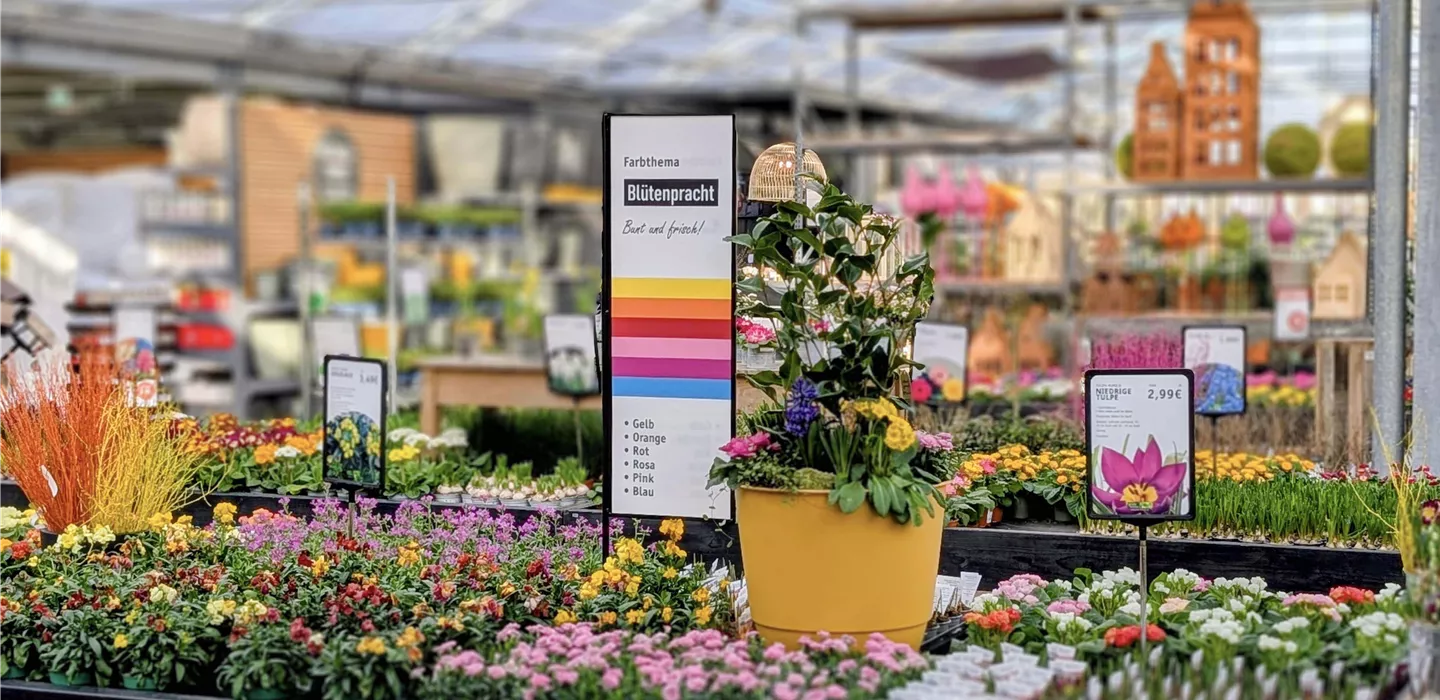 Riesige Auswahl - Pflanzen für drinnen & draußen