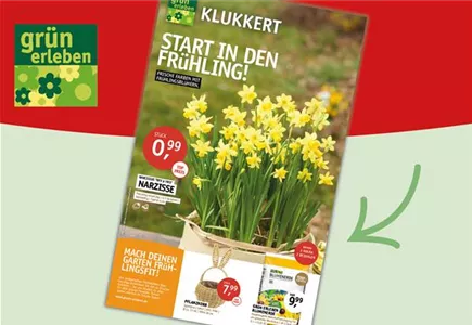 Hier geht es zu unseren Beilagen-Angeboten