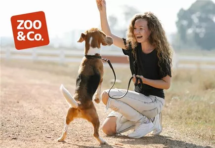 Zoo & Co.
