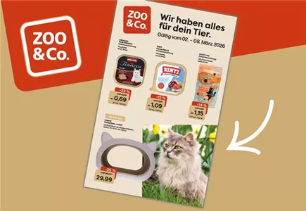 Hier geht es zu unserer XL Wochenaktion