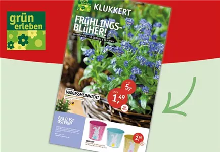 Hier geht es zu unseren Beilagen-Angeboten