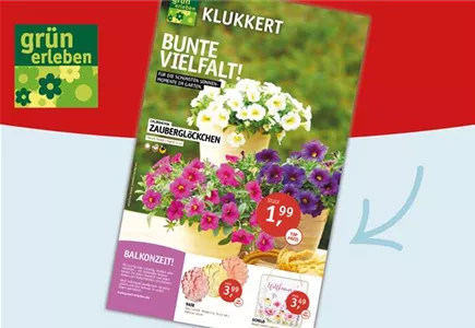 Hier geht es zu unseren Beilagen-Angeboten