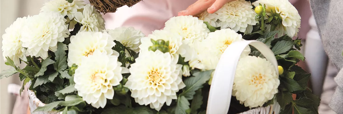 URLAUB AUF DEM BALKON! 