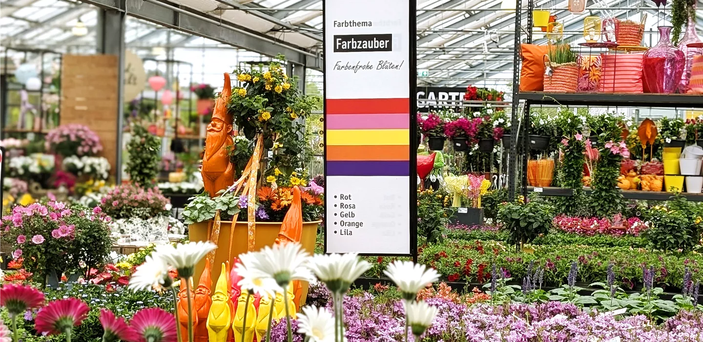 Riesige Auswahl - Pflanzen für drinnen &amp; draußen