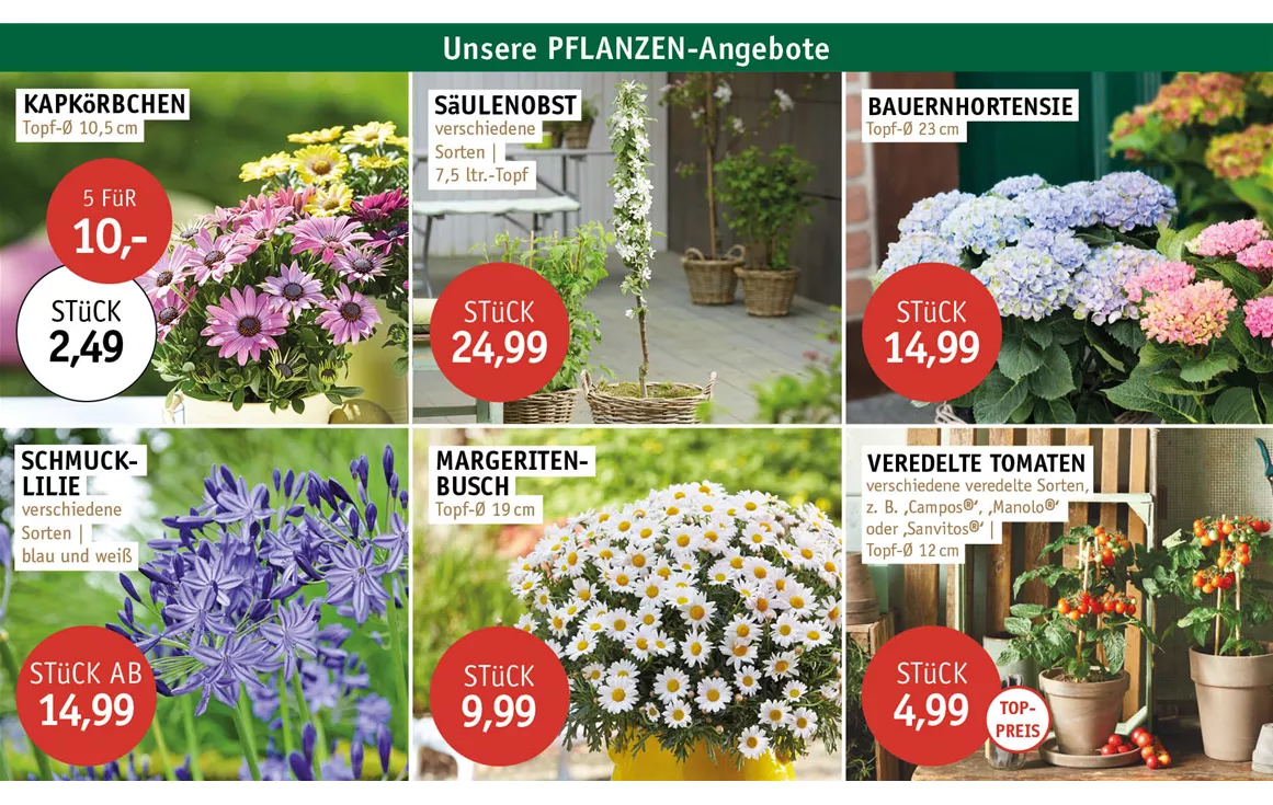 Aktion_Angebote_ANGEBOTE_0526_01.jpg