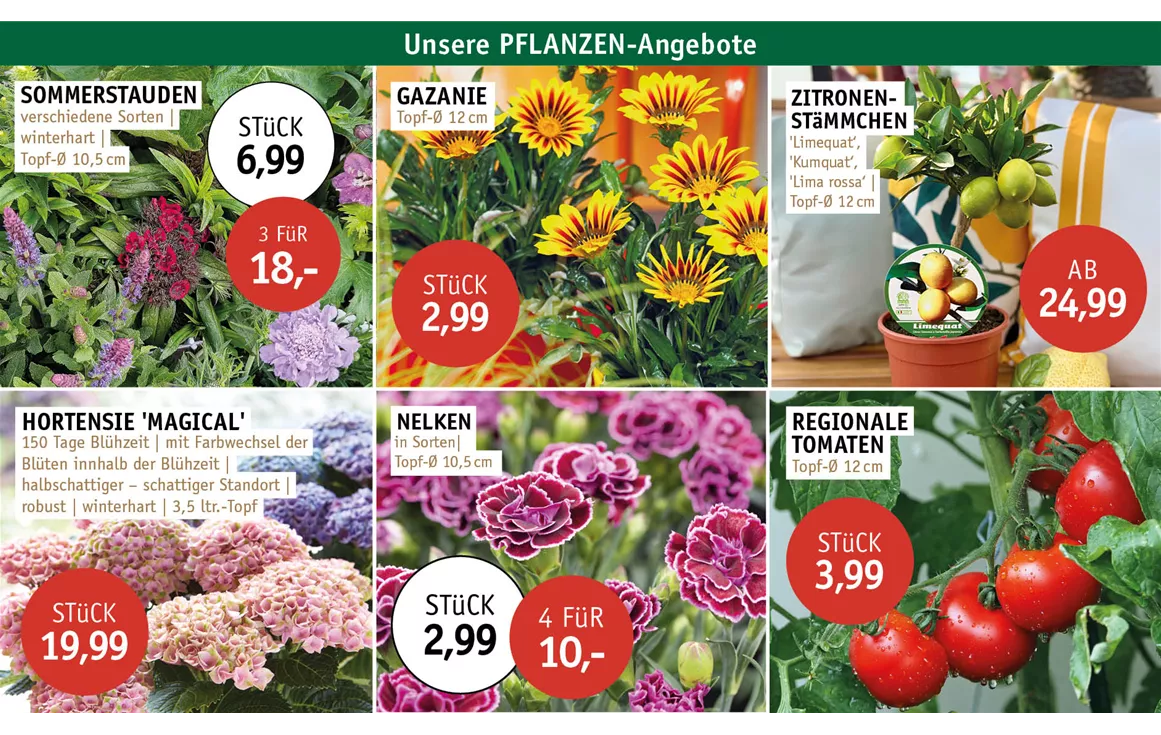 Aktion_Angebote_ANGEBOTE_0626_1.jpg