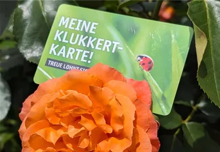 Kundenkarte