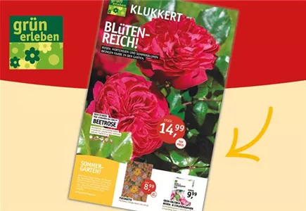 Hier geht es zu unseren Beilagen-Angeboten
